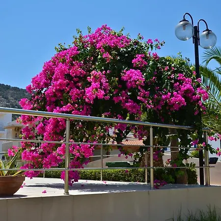 Niko Elen Hotel Stalida